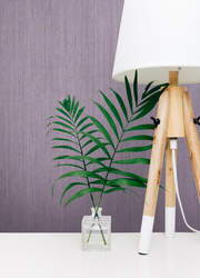 Torino Silk (while stocks last)