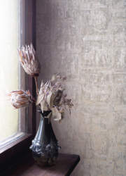 Amphora