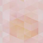 SMA219281