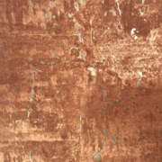 AMP16427