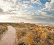 NORFOLK DUNES 3x20m