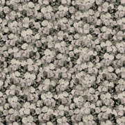 Botanist Dark