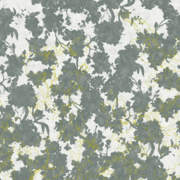 Bramble Lime