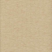 CHI46859
