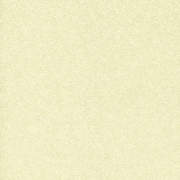 DS2863 (while stocks last)
