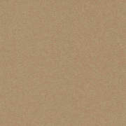 DS2889 (while stocks last)