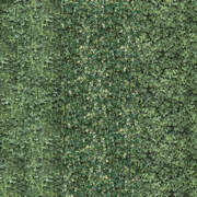 Garden Wall