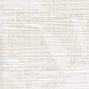 BOT BW55807
