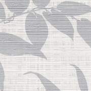 BOT BW55810