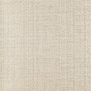 CAS47167