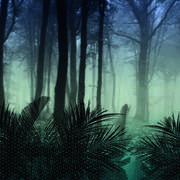 DIM200281 mural320x280