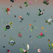 DIM200289 mural240x280
