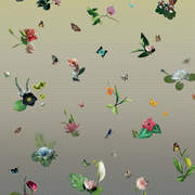 DIM200291 mural240x280