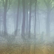 DIM200284 mural560x280
