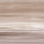 Horizon Cowrie