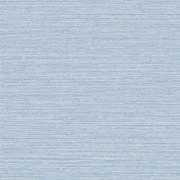 P3COA60253