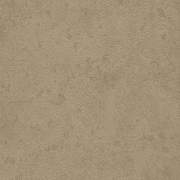 STO 807