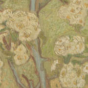 VAN5028493