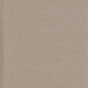 BEL16236 while stocks last