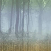 DIM200285 mural320x280