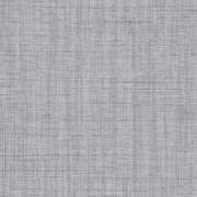 FRE53551