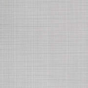 ANG47580