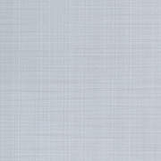 ANG47585