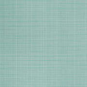 ANG47590