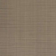 ANG47595