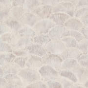 FIO220451