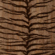 GRA300416 Wild Thing Mural280x250 repeat
