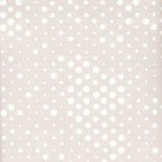 LUN02