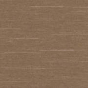PALSILK55