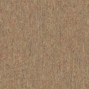 PAN220114