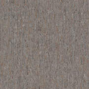 PAN220117