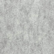 PAT47482