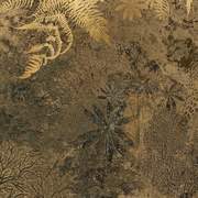 RIV300397 Tropical Treasure Mural 280x550