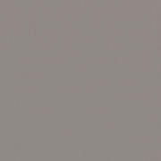 SMA219216