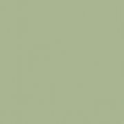SMA219223
