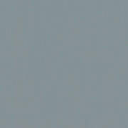 SMA219225