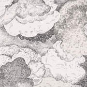 SMA219263