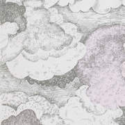 SMA219264