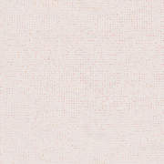 SMA219310