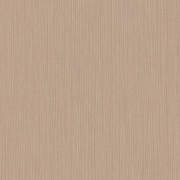 TEX43877