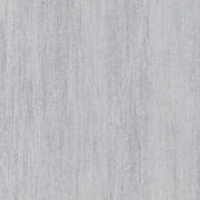 TEX48505