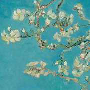 VAN200331 Almond Blossom close up mural 280x300cm