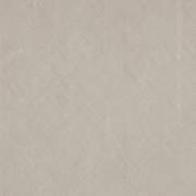 ZEN218705