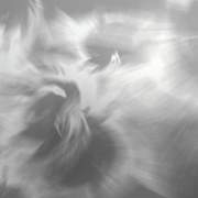 VORTEX