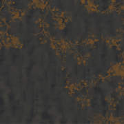 Wildwood Dark