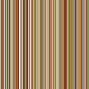 SKINNY STRIPE UMBER